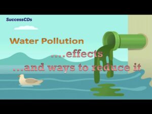 Polluted water। प्रदूषित पानी से छुटकारा पाने की लड़ाई।